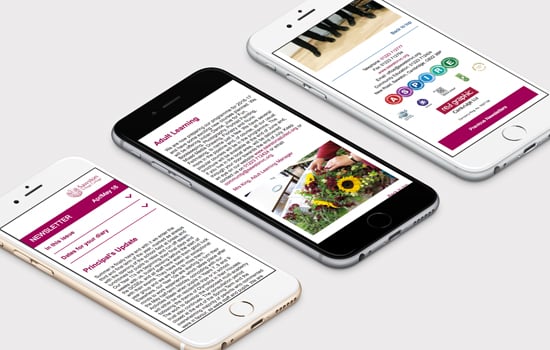 SVC Newsletter 550x350