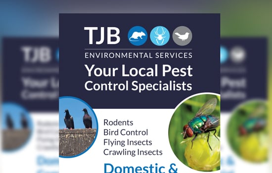 tjb pest control flyer 1