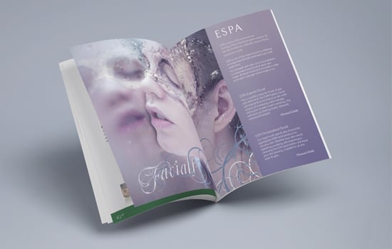 brochure 550x350 1