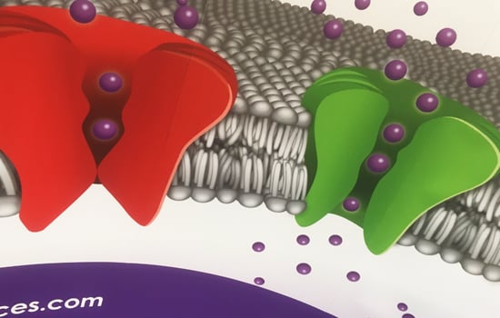 PANEL 550x350 1
