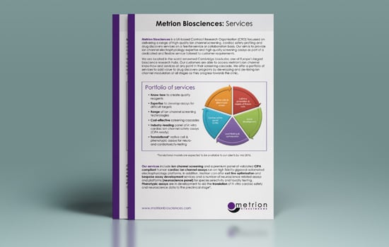 flyer 550x350 3