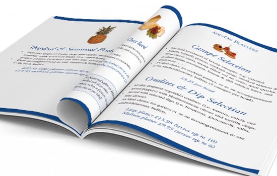 brochure 550x350 1