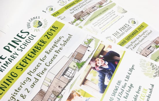 flyer 550x350 copy