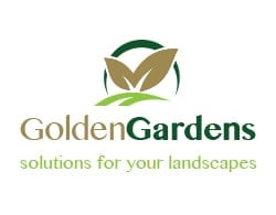 logo 250x195 1